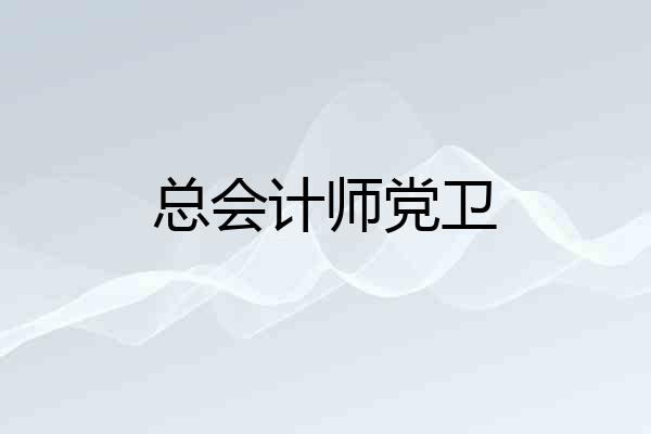 总会计师党卫