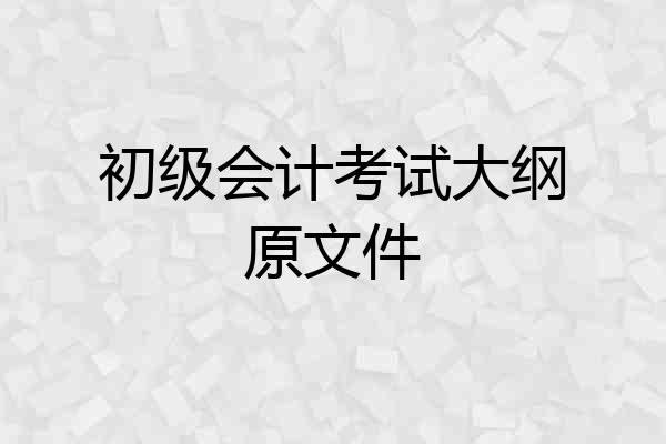 初级会计考试大纲原文件