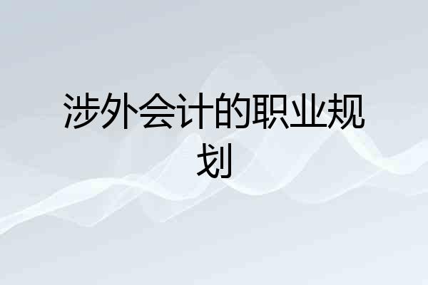 涉外会计的职业规划