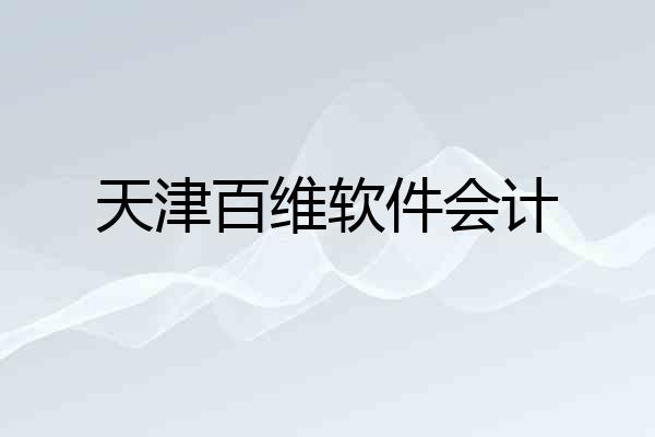 天津百维软件会计