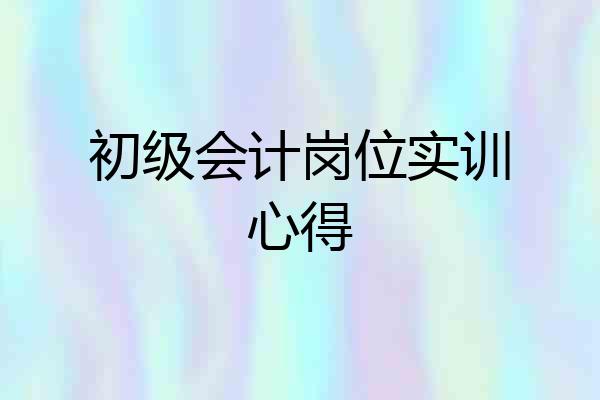 初级会计岗位实训心得