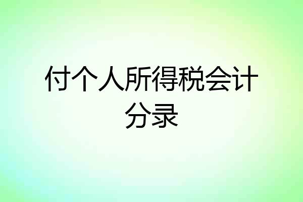 付个人所得税会计分录
