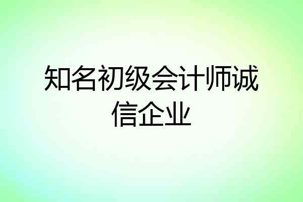 知名初级会计师诚信企业