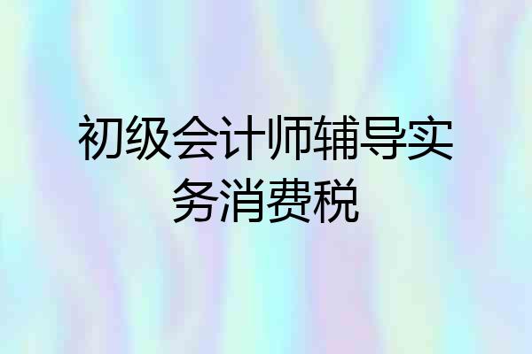 初级会计师辅导实务消费税