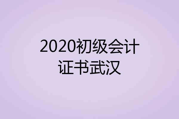 2020初级会计证书武汉