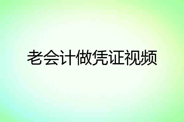 老会计做凭证视频