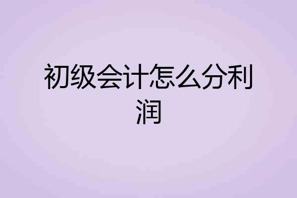 初级会计怎么分利润