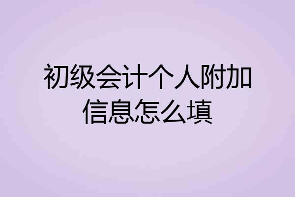 初级会计个人附加信息怎么填