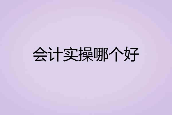会计实操哪个好
