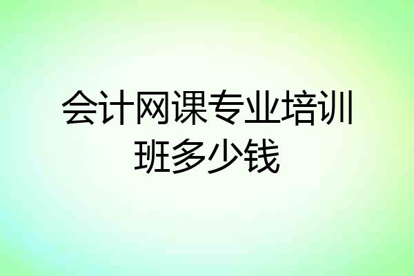 会计网课专业培训班多少钱