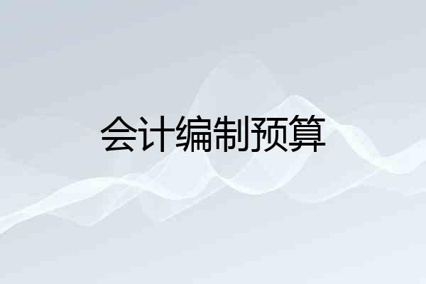 会计编制预算