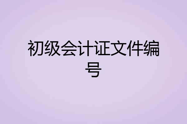 初级会计证文件编号