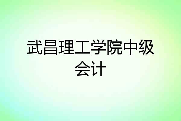 武昌理工学院中级会计