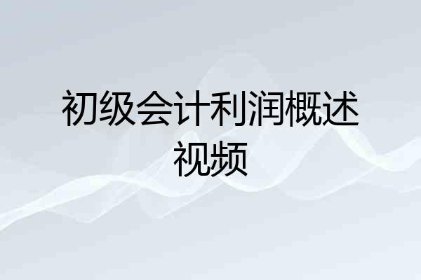 初级会计利润概述视频