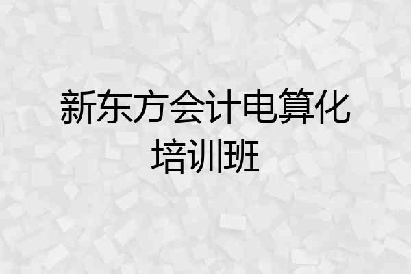 新东方会计电算化培训班