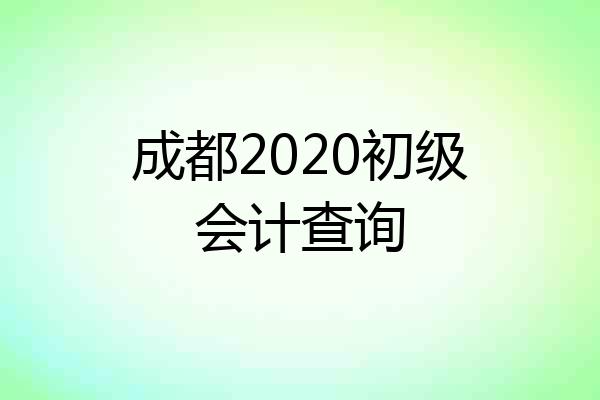 成都2020初级会计查询
