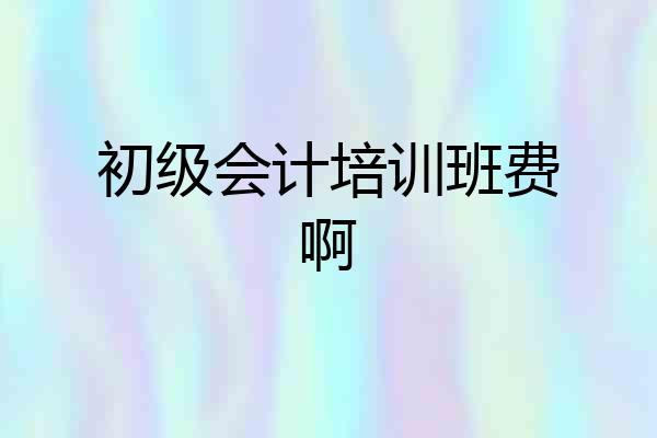 初级会计培训班费啊