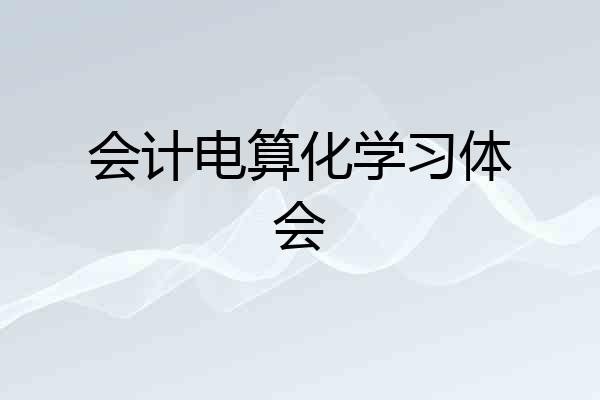 会计电算化学习体会