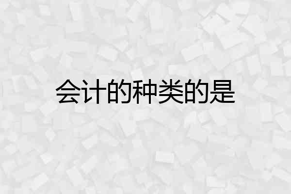 会计的种类的是