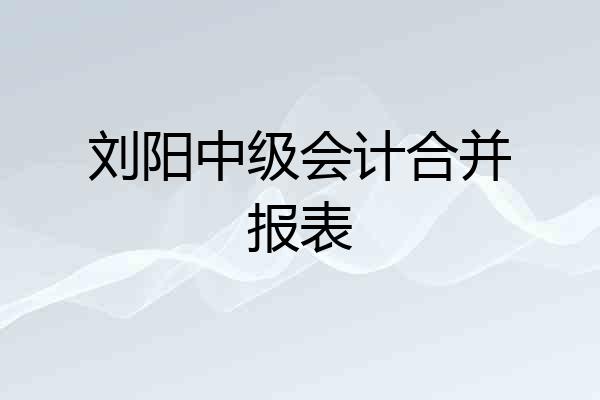 刘阳中级会计合并报表
