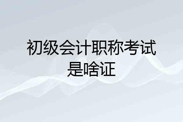 初级会计职称考试是啥证