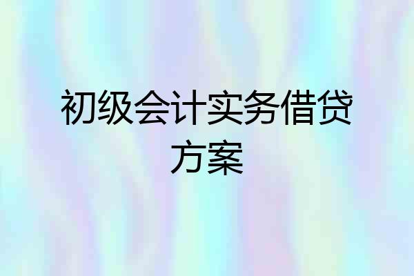 初级会计实务借贷方案