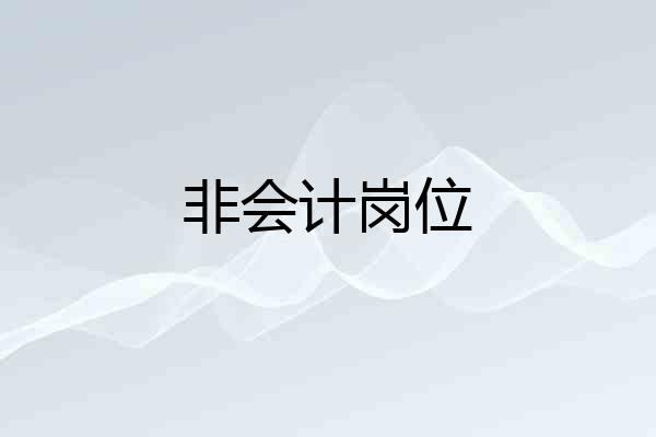 非会计岗位
