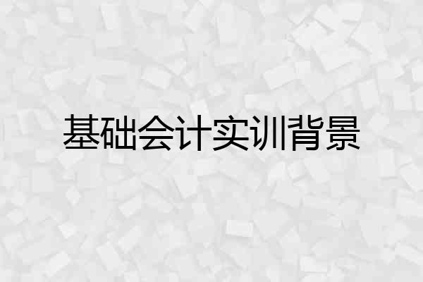 基础会计实训背景