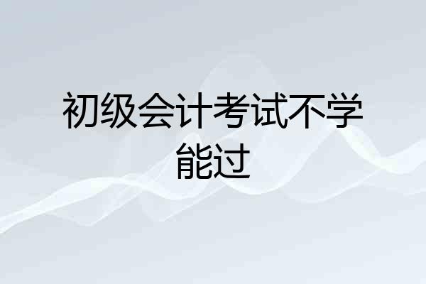 初级会计考试不学能过