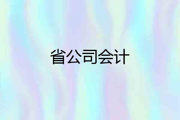 省公司会计