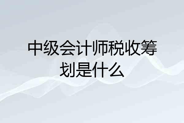 中级会计师税收筹划是什么