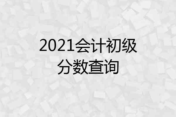 2021会计初级分数查询