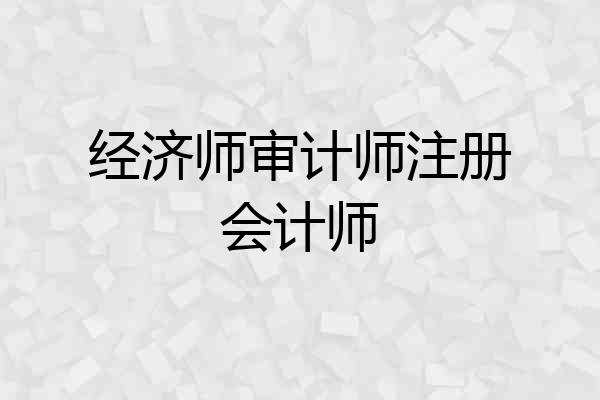 经济师审计师注册会计师
