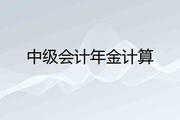 中级会计年金计算