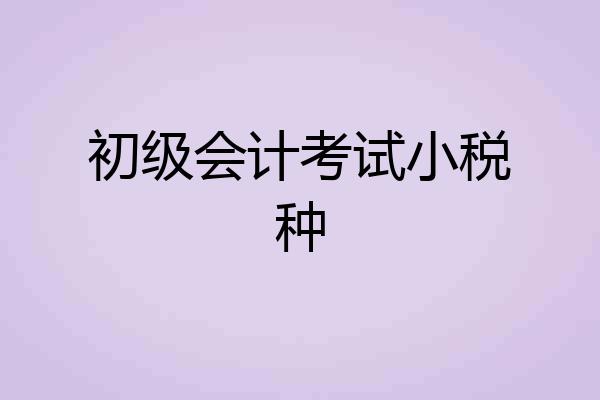 初级会计考试小税种
