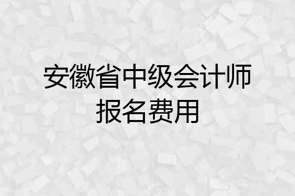 安徽省中级会计师报名费用