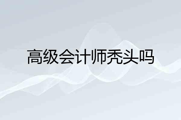 高级会计师秃头吗