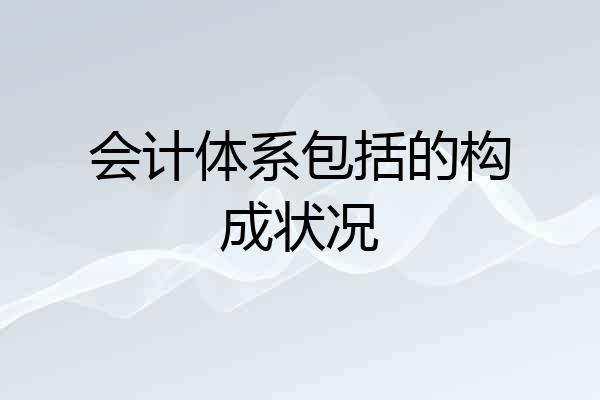 会计体系包括的构成状况