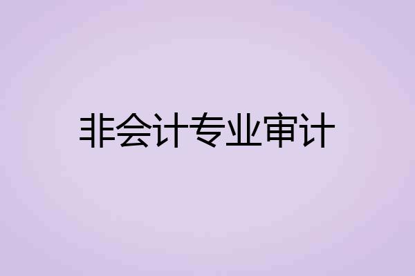 非会计专业审计