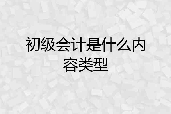 初级会计是什么内容类型