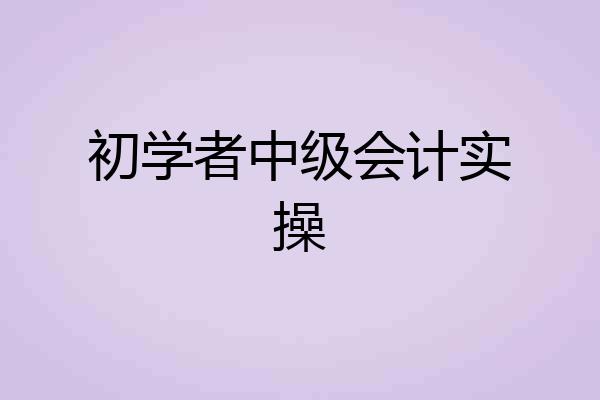 初学者中级会计实操