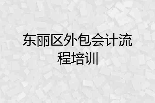 东丽区外包会计流程培训