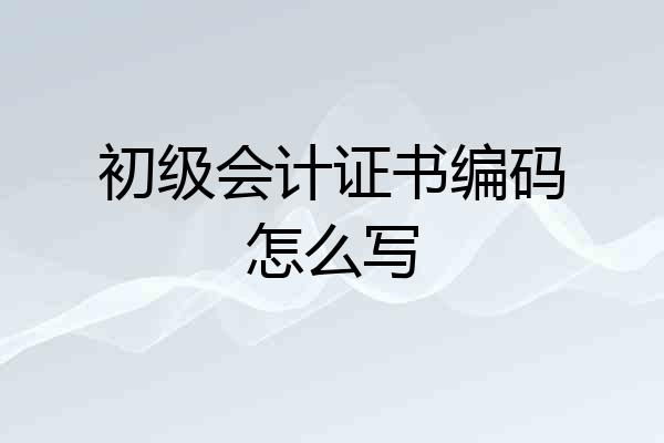 初级会计证书编码怎么写
