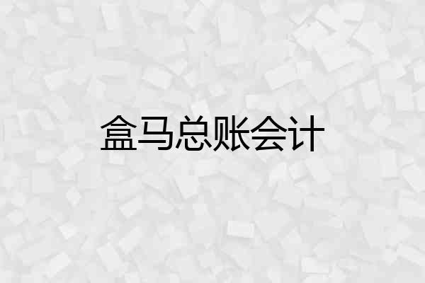 盒马总账会计
