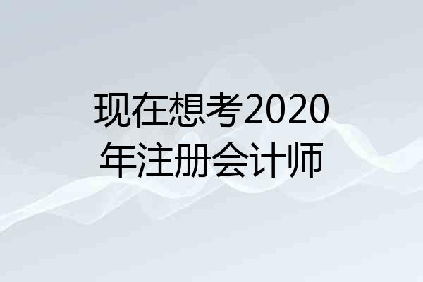 现在想考2020年注册会计师