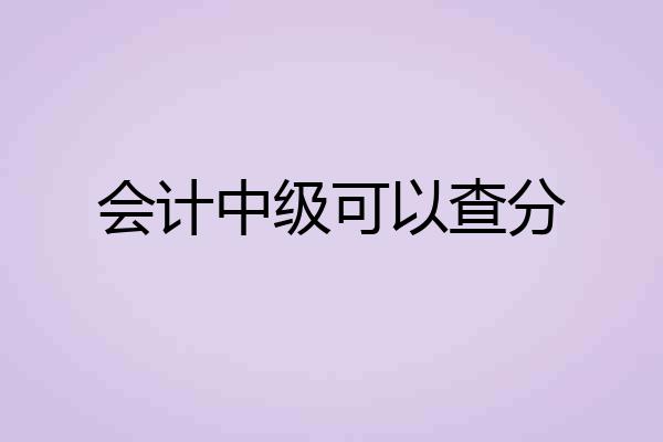 会计中级可以查分