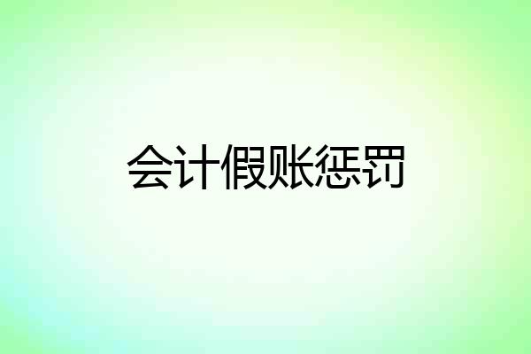 会计假账惩罚