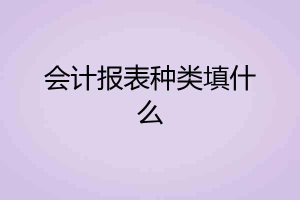 会计报表种类填什么