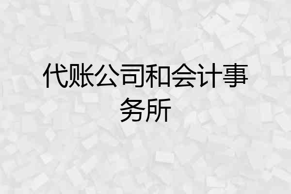 代账公司和会计事务所