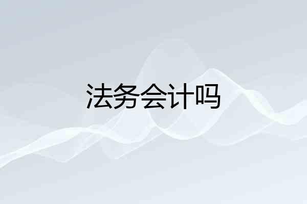 法务会计吗